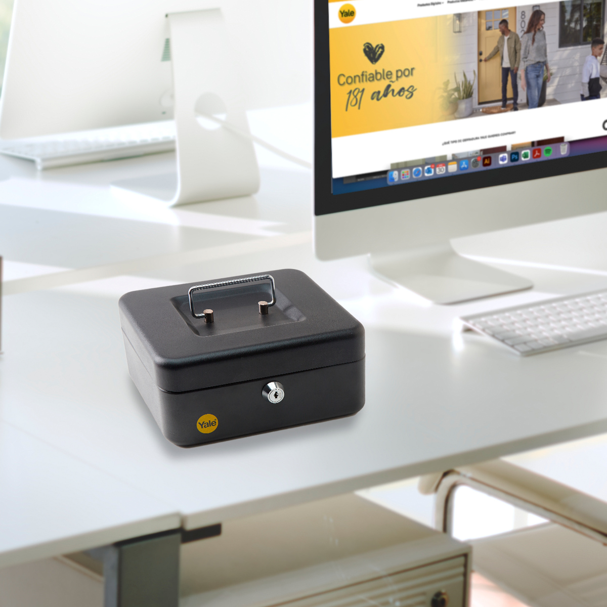 Caja de Dinero Mediana*