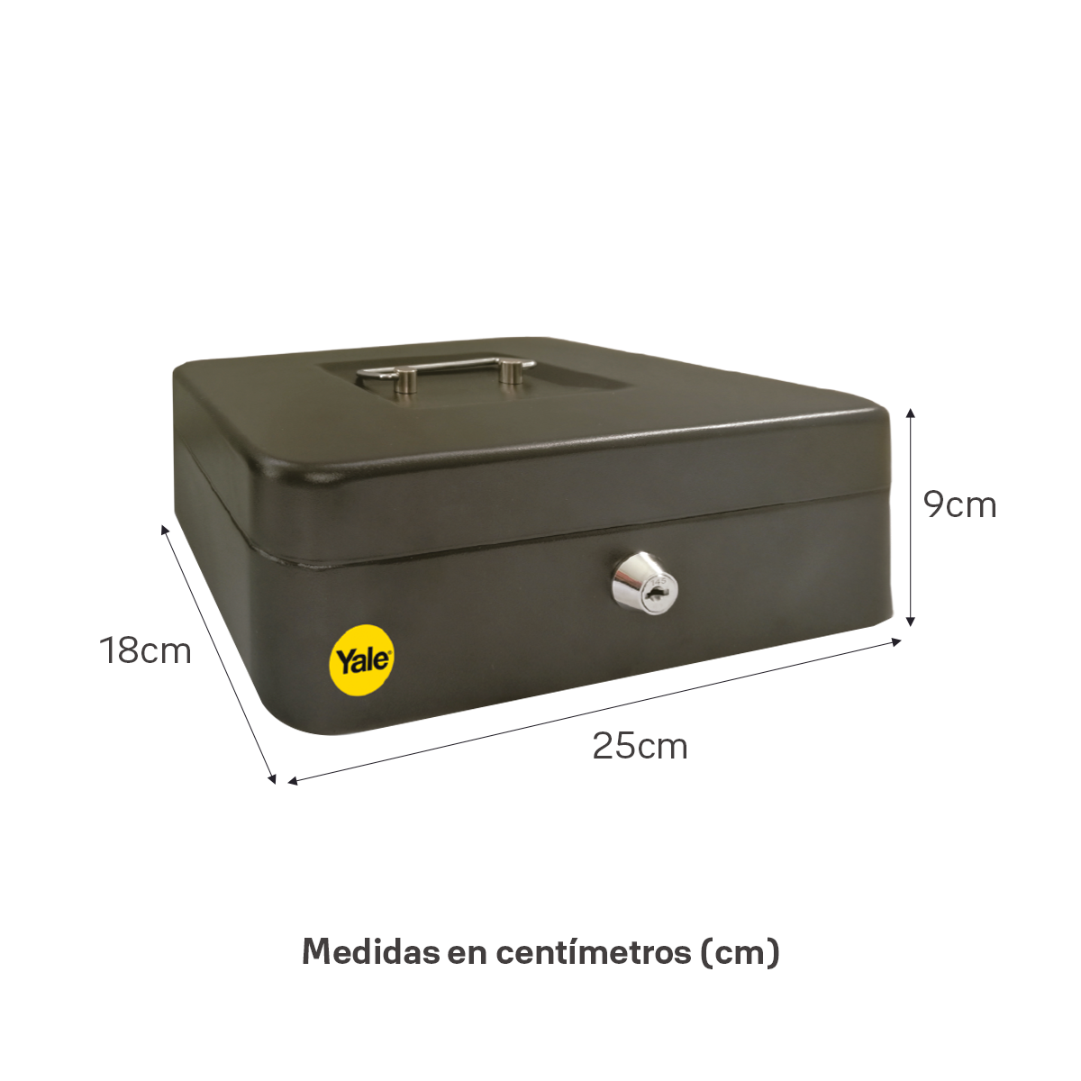Caja de Dinero Grande*