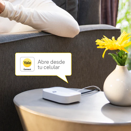 Módulo Zigbee Cerraduras YMF - YD