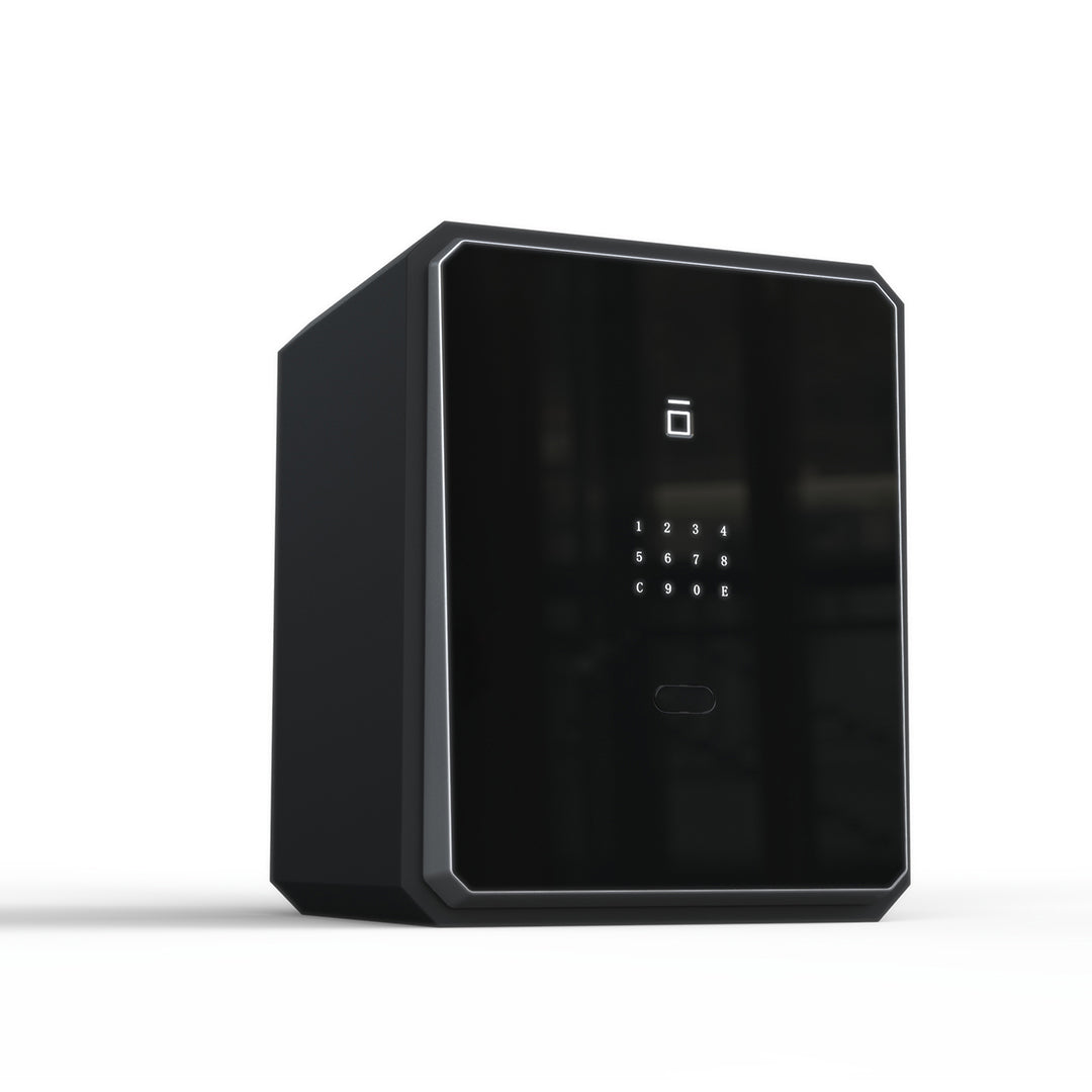 Caja fuerte biométrica (táctil)
