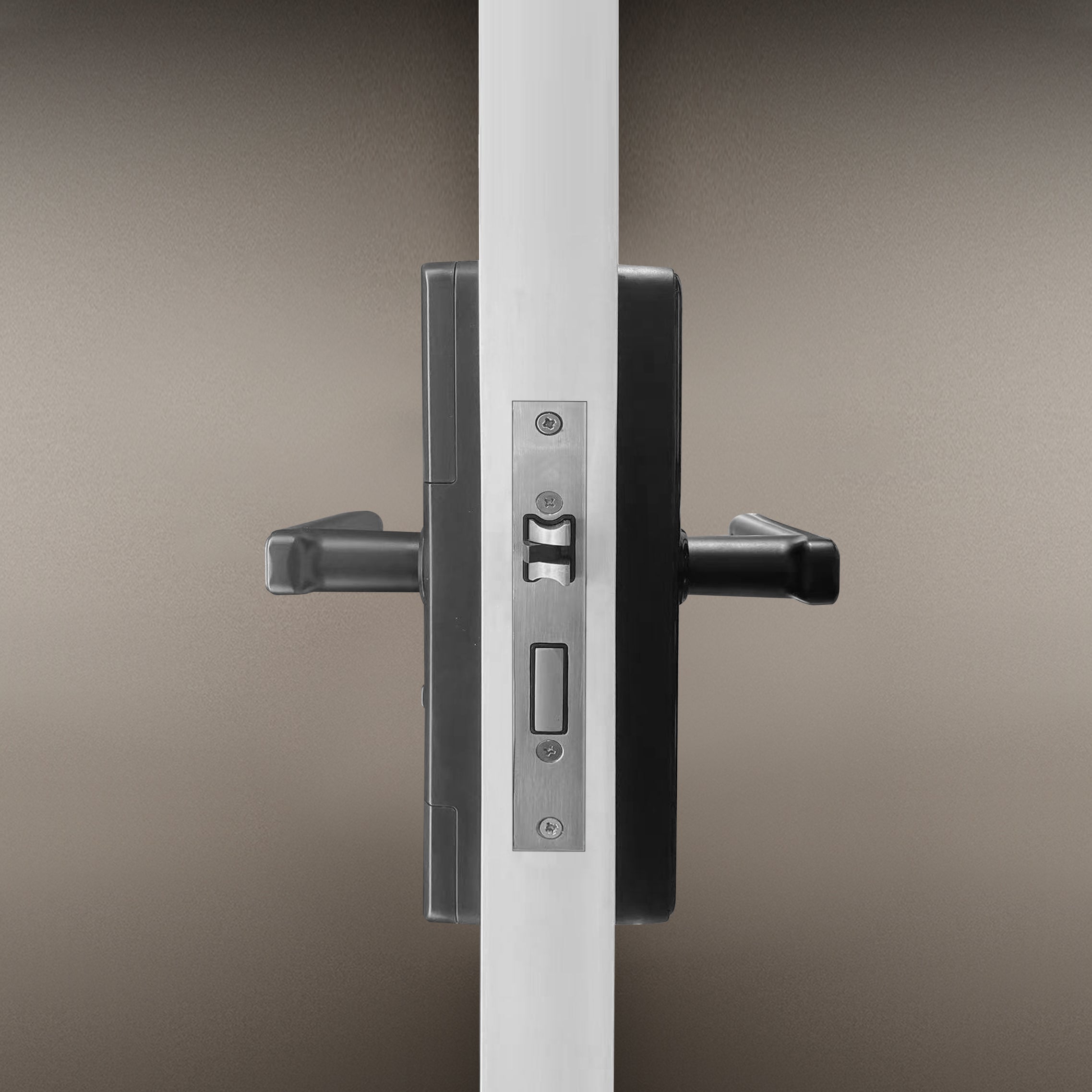 Cerradura Digital YDM25