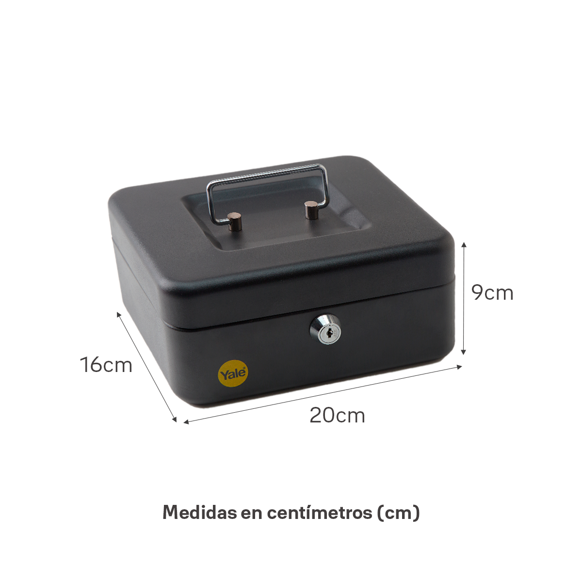 Caja de Dinero Mediana*