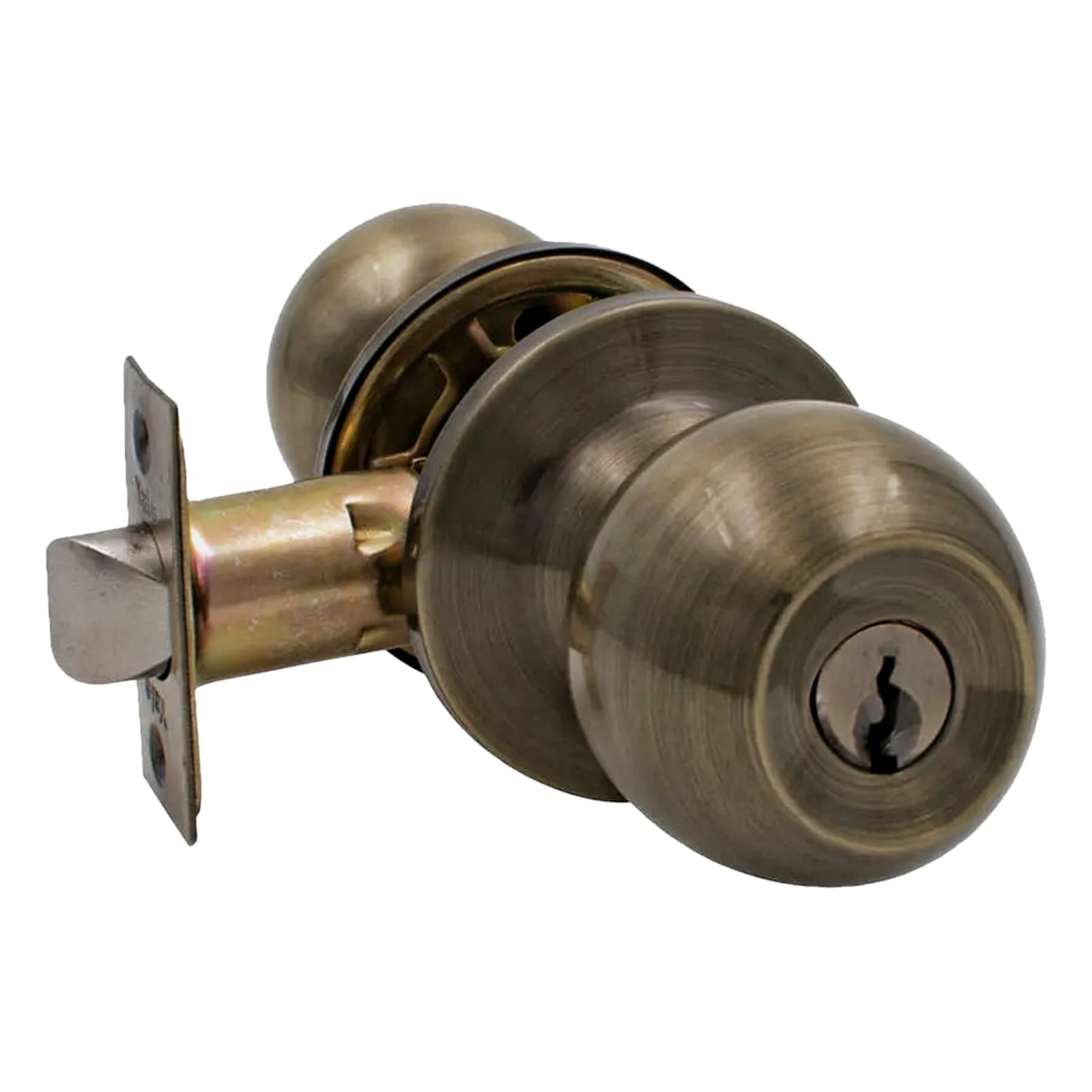 Pomo Bolton Bronce